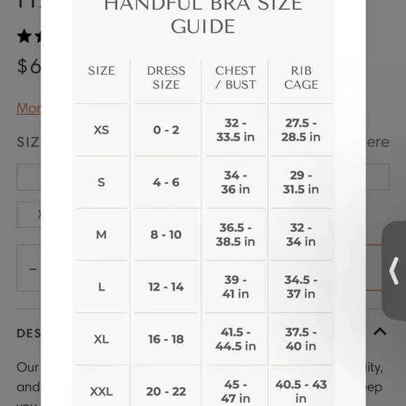 Lot of 5 Handful Bras - SIZE LARGE - Picture 3 of 11